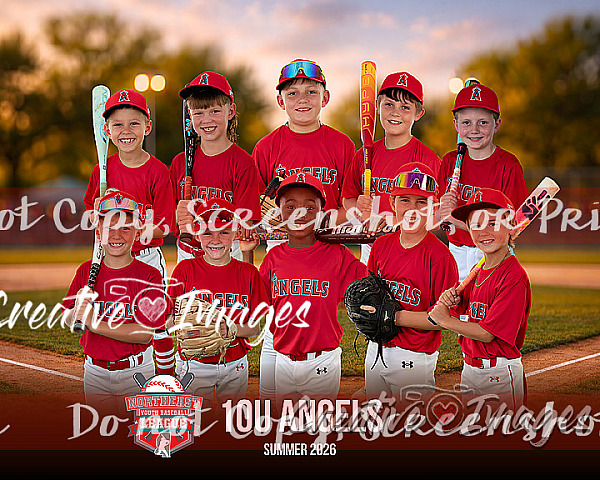 Van Zyverdan Ball Pictures 10u